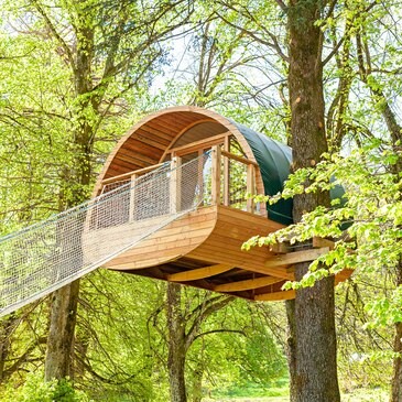 Cabane dans les arbres avec passerelle